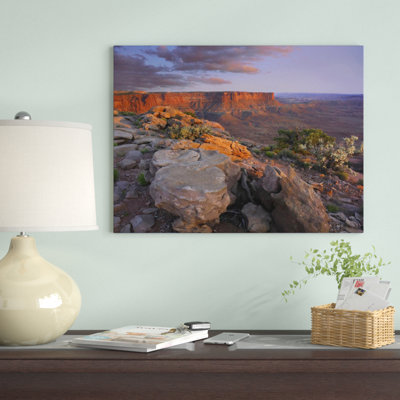 " View From The Green River Overlook Canyonlands National Park Utah " by Tim Fitzharris