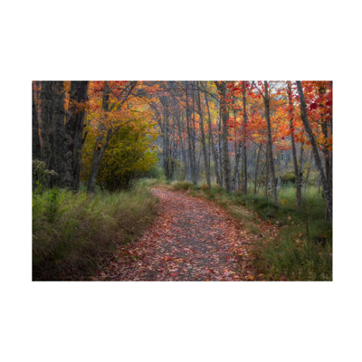 «Autumn Drive II» sur