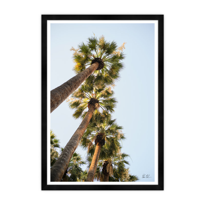 National Garden Palms II par Tim Klein - Photographie avec cadre