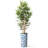 Artificial Tree in Blue and White Planter Fake Bamboo Silk Tree (Plant Pot Plus Tree)-103684153
