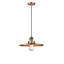 Rouvin Single Light Metal Pendant-86621697-86621700