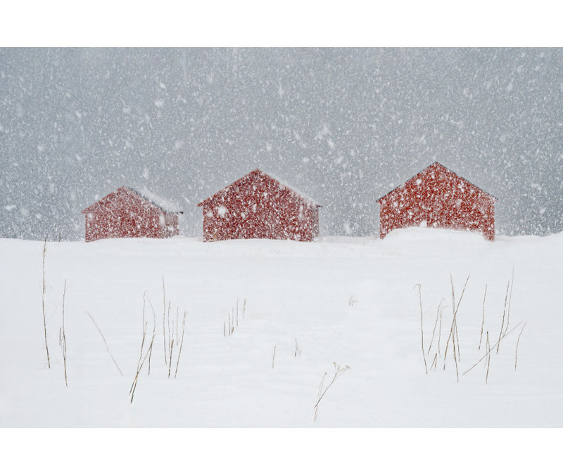 Wrapped Canvas Print, 60.96 cm H x 91.44 cm W