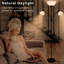 Lampadaires de salon Morden-928699454