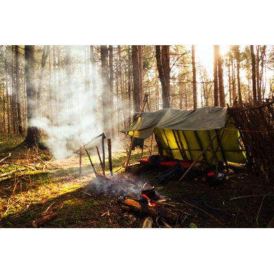 " Campfire In Forest "
