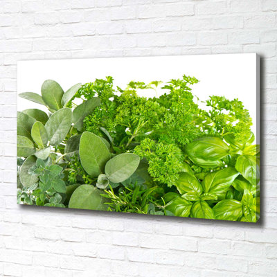 Herbs - No Frame Print on Canvas