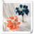 Corail