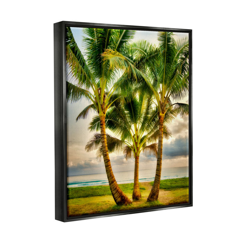 "Three Palm Trees on Beach", art mural par Dennis Frates, Cadre flottant noir de jais, H 21 po x l 17 po x P 1,7 po