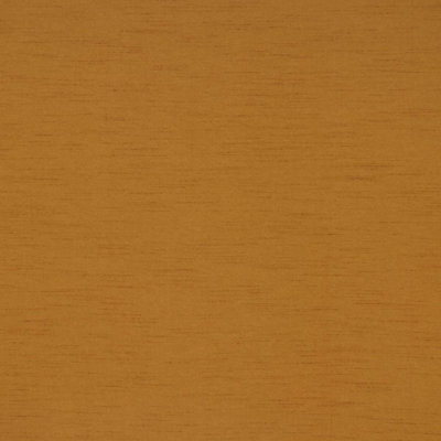 Raphael Fabric