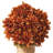 Mum Arrangement-413746016