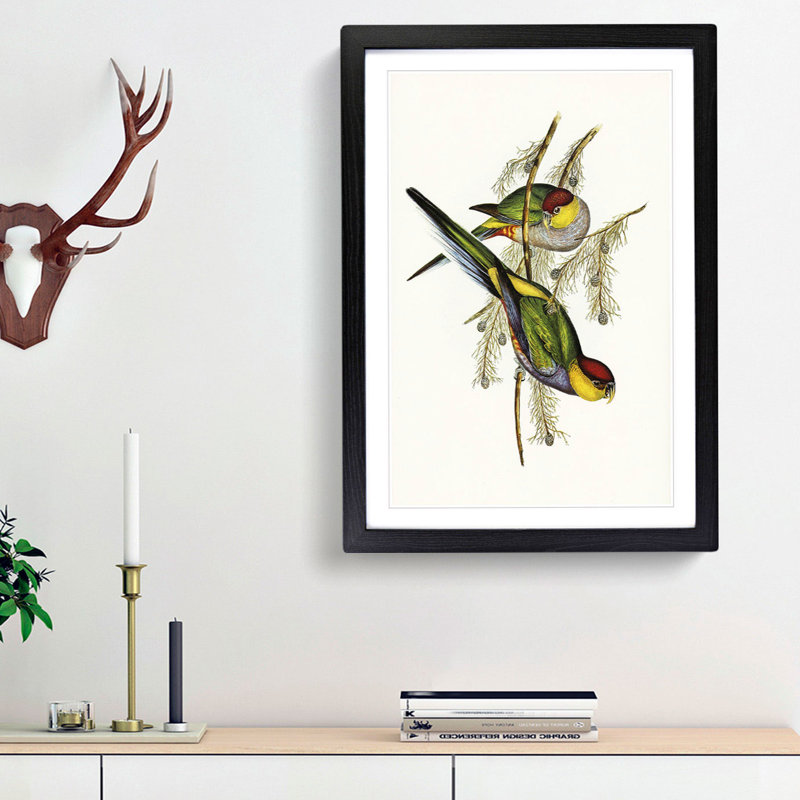 Red-Capped Parakeets by Elizabeth Gould - Picture Frame Painting Print, Black Framed, 65cm H x 48cm W x 2cm D