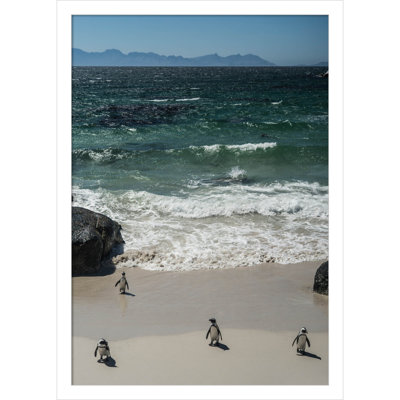 Perolio "Coming in to the Beach" Print