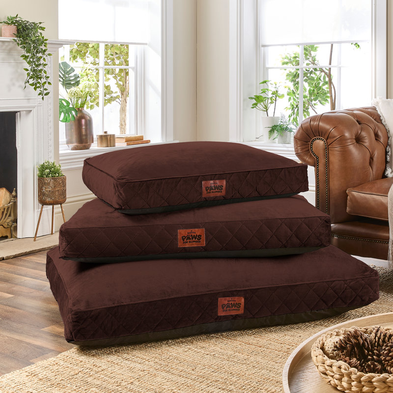 Slumberdown Paws for Slumber Raised Padded Dog Bed – Comfortable, Supportive & Durable Pet Bed for All Breeds