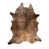 Medium Brindle