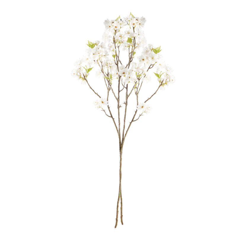 Faux cerisier Hanami, Blanc