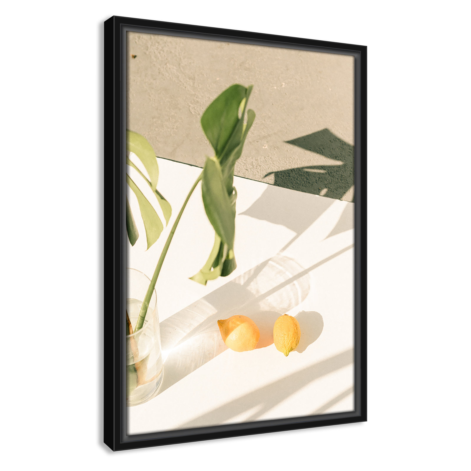 Citrus and Palms Print, 19.5'' H x 13.5'' W x 2'' D, Black Framed