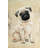 Pug Dog Beige Framed Canvas for Home Decor - Cute Art