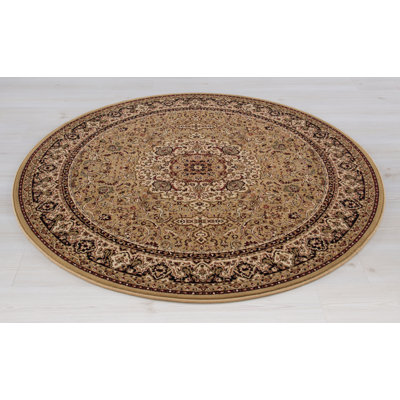 Izaiah Oriental Indoor Rug