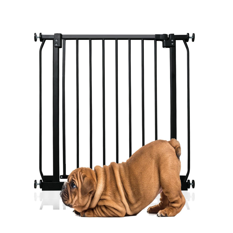Metal Pressure Mounted Pet Gate, 71cm - 80cm, Grey