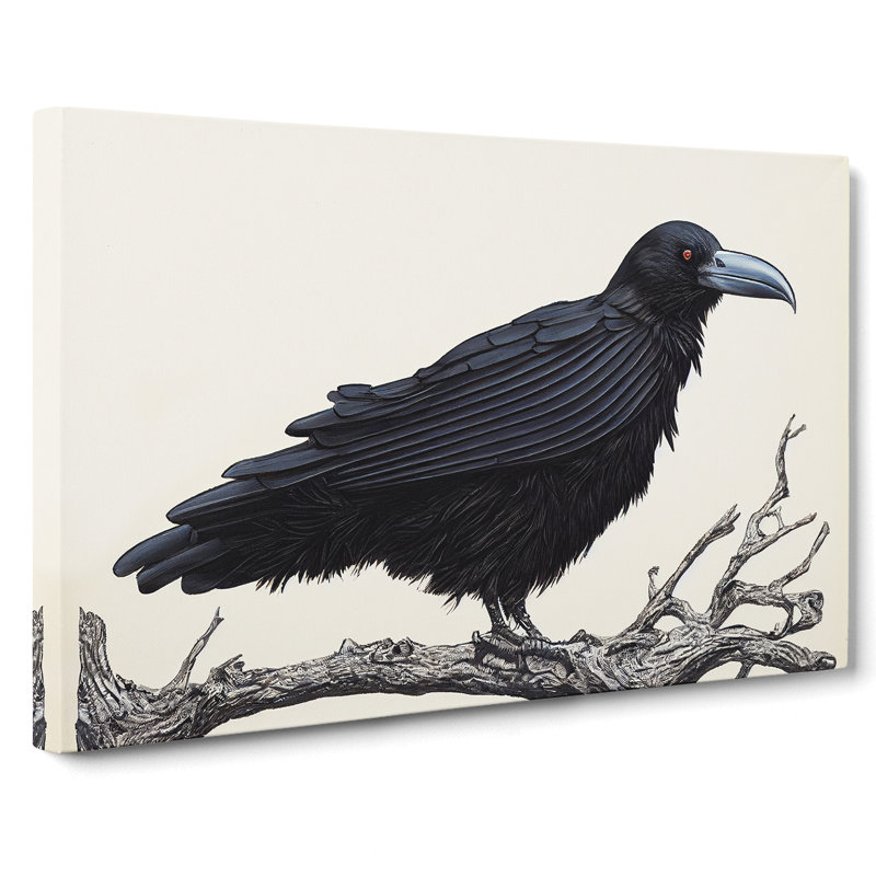 Resplendent Raven Bird - Wrapped Canvas, 35cm H x 50cm W x 3cm D