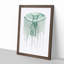 Green Jellyfish by George Shaw - Framed Print-55620918-55620920