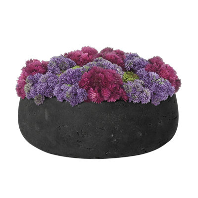 Sedum Arranged in Fiberstone Planter