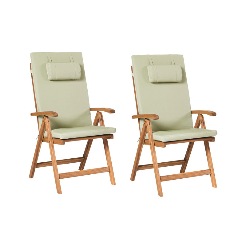 Aarica Folding Patio Dining Armchair with Cushion, Green