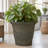 Kehlani 19.5" x 19.5" x 17.5" Round Sable Polyresin Outdoor Planter Pot - Weathered Sable - Set of 2-1439233578-1478512455-1595174684