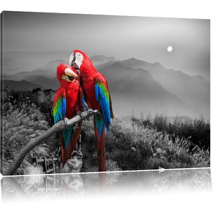 Alle Bilder (Rot; Papagei) zum Verlieben | Poster