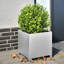 Planter Box-104931239-104931244