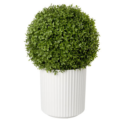 Faux Boxwood Plant in Pot