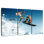 Sirci ski et planche à neige