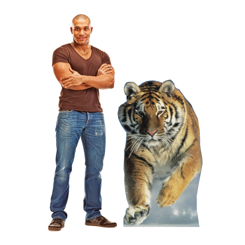 Animals 46'' Animals Cardboard Standup