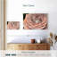 Doux pétale de rose-246805397