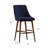 Leonitus Upholstered Counter Stool-19562645