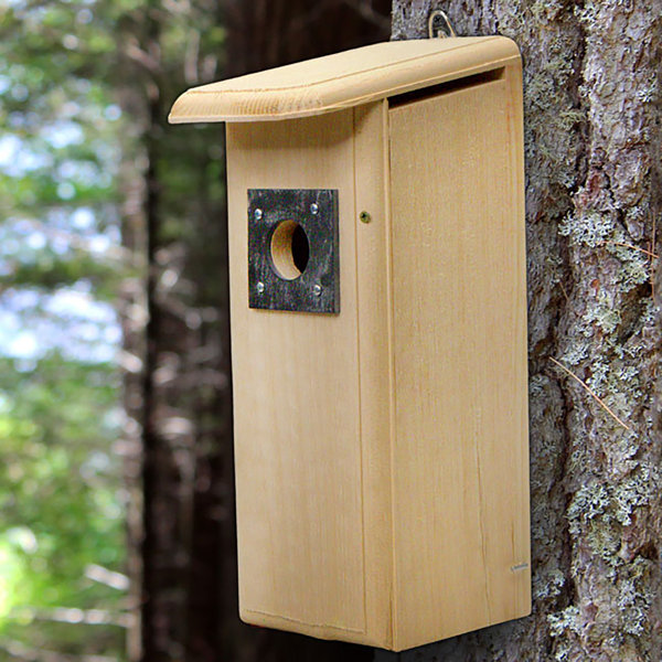 Arlmont & Co. Seria Downy Woodpecker House | Wayfair Seria Downy Woodpecker House