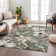 Machine Washable Indoor/Outdoor Millner ACN2260 Floral Rug