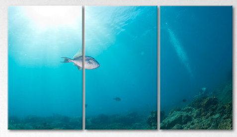3 Piece Wall Art on Canvas