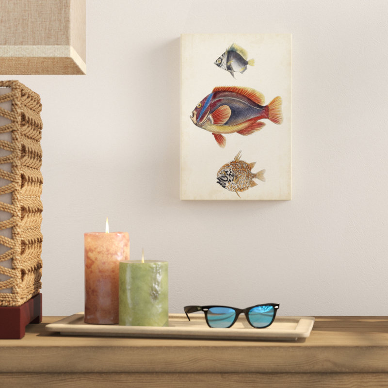 «Antique Fish Species IV», peinture sur toile, H 12 po x l 8 po