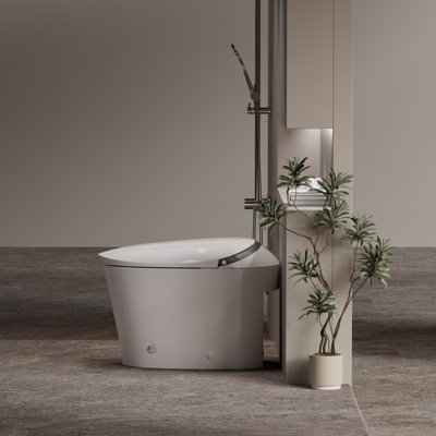 Toilette à bidet Ada Comfort