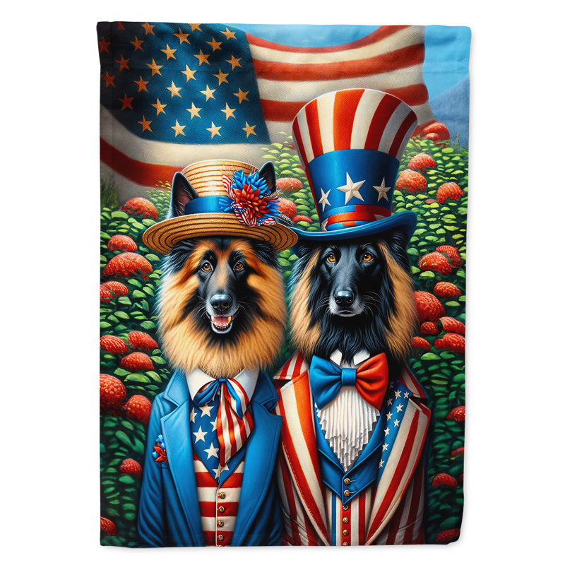 Drapeau «All American House», Berger de Tervueren