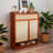 Unique design storage shoe cabinet