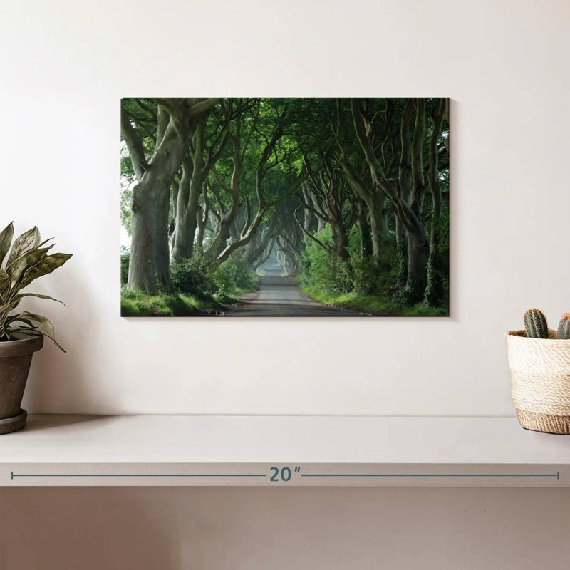 Harnek Dark Hedges, 8" H x 12" W