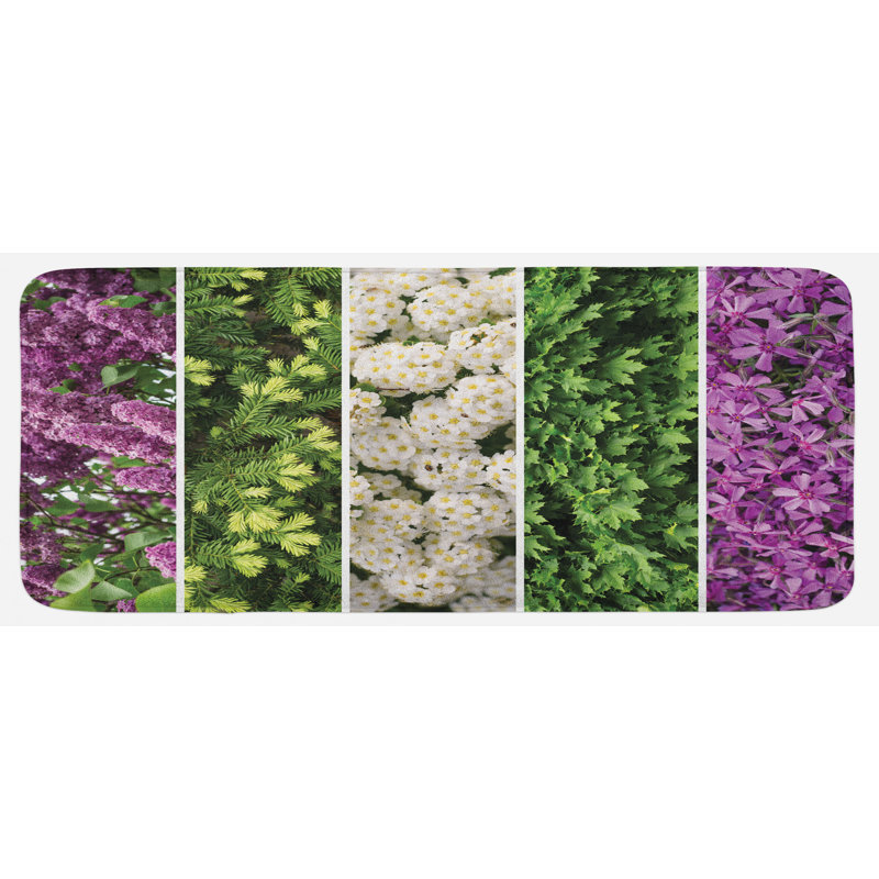 Tapis de cuisine