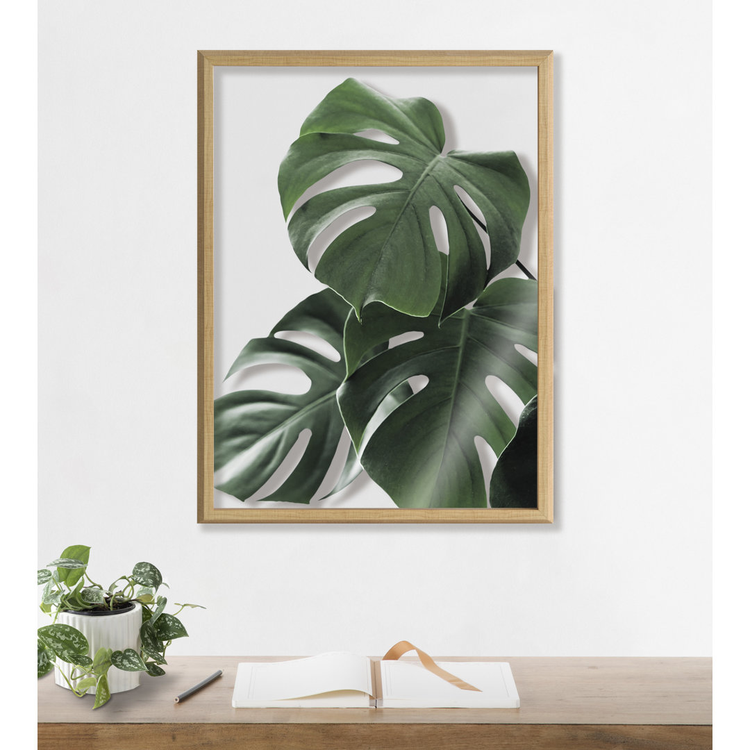 Monstera leaves by Amy Peterson Framed Glass Wall Art Trinx