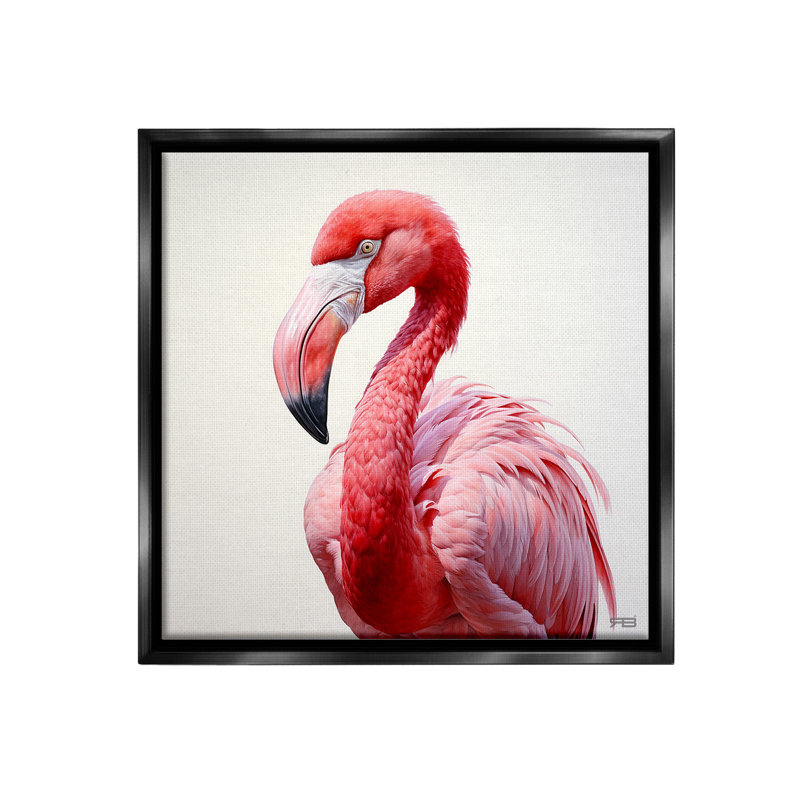 «Traditional Flamingo Portrait Floater Frame» par RB sur toile, H 18 po x l 18 po, Cadre flottant noir de jais