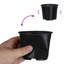 Nursery Pot