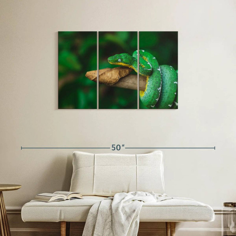 Emerald Tree Snake, 24" H x 38" W