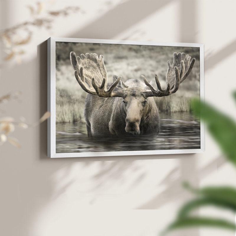 Moose Hot Springs - reproduction encadrée - réarmable, H 11 po x l 14 po, Blanc