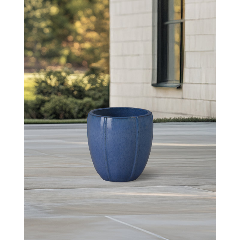 CREST PLANT, NEIGE, Bleu, H 13 po x l 12,5 po x P 12,5 po