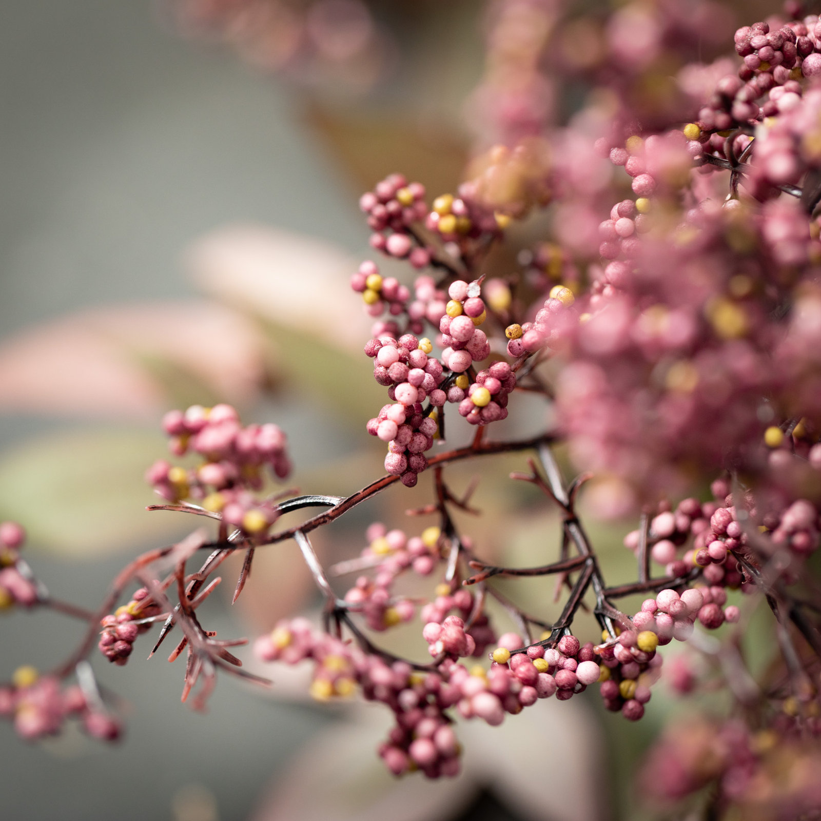 Faux Berry Stems
